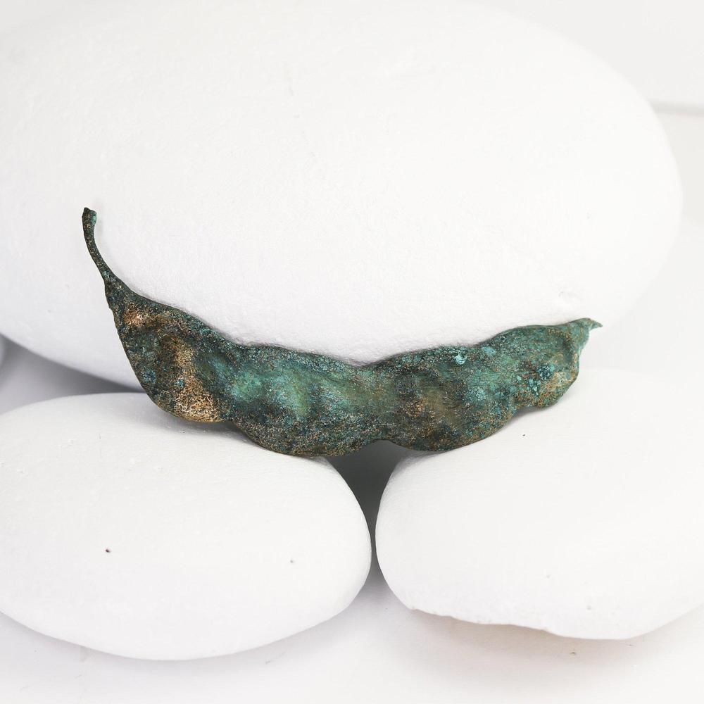 Bronze Mesquite Pod Objet d&