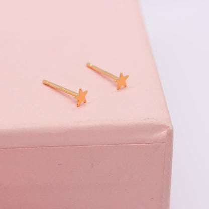 Dainty Star Stud Earrings